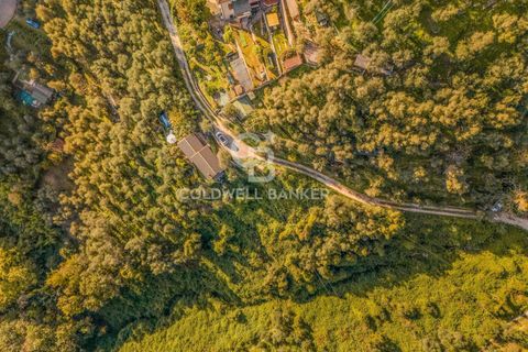 Landejendom i Camaiore, Lucca, Camaiore - € 550.000 | Ref: CBI129-2610-130580 - foto 24