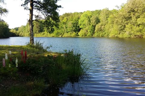 Villa i Compreignac, Haute-Vienne, Compreignac - € 463.500 | Ref: AM-4006-4961 - foto 6