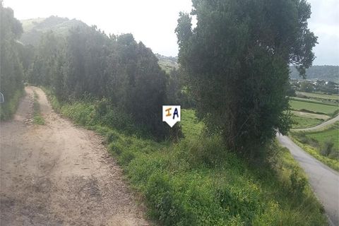 Terra a Barbate, Cadiz, Barbate - € 75.000 | Ref: PL308 - foto 16