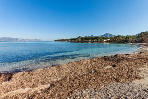 Villa a Alcudia, Mallorca, Alcudia - € 925.000 | Ref: BON40960 - foto 14