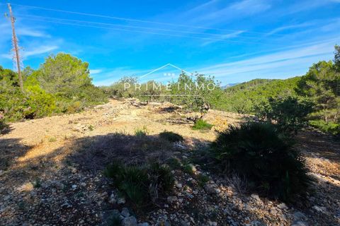 Villa i El Perello, Tarragona, El Perello - € 229.000 | Ref: 1159 - foto 27