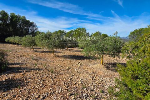 Villa i El Perello, Tarragona, El Perello - € 229.000 | Ref: 1159 - foto 30