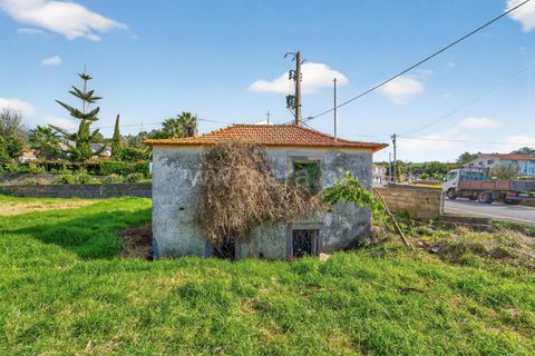 Erhvervsejendom i Ponta do Sol, Madeira, Ponta do Sol - € 350.000 | Ref: 081250295 - foto 5