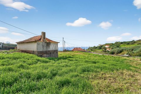 Erhvervsejendom i Ponta do Sol, Madeira, Ponta do Sol - € 350.000 | Ref: 081250295 - foto 6