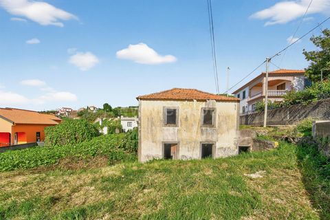 Erhvervsejendom i Ponta do Sol, Madeira, Ponta do Sol - € 350.000 | Ref: 081250295 - foto 7