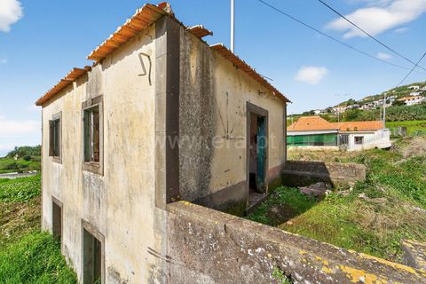 Erhvervsejendom i Ponta do Sol, Madeira, Ponta do Sol - € 350.000 | Ref: 081250295 - foto 8