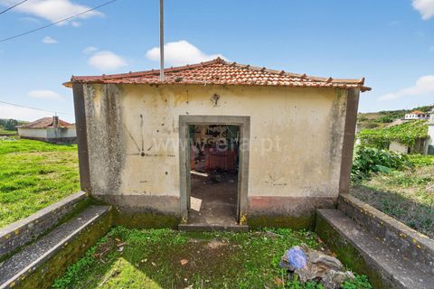 Erhvervsejendom i Ponta do Sol, Madeira, Ponta do Sol - € 350.000 | Ref: 081250295 - foto 9