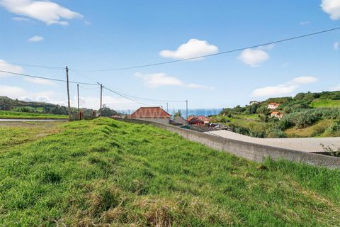 Erhvervsejendom i Ponta do Sol, Madeira, Ponta do Sol - € 350.000 | Ref: 081250295 - foto 11