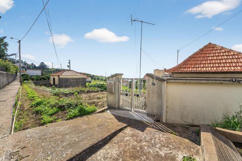 Erhvervsejendom i Ponta do Sol, Madeira, Ponta do Sol - € 350.000 | Ref: 081250295 - foto 12