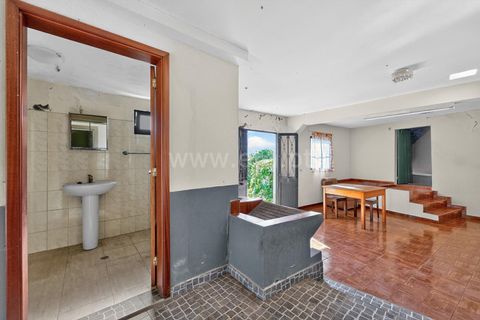 Erhvervsejendom i Ponta do Sol, Madeira, Ponta do Sol - € 350.000 | Ref: 081250295 - foto 16
