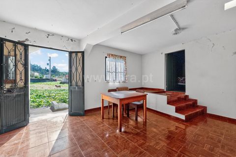 Erhvervsejendom i Ponta do Sol, Madeira, Ponta do Sol - € 350.000 | Ref: 081250295 - foto 19