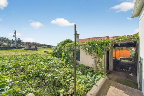 Erhvervsejendom i Ponta do Sol, Madeira, Ponta do Sol - € 350.000 | Ref: 081250295 - foto 23