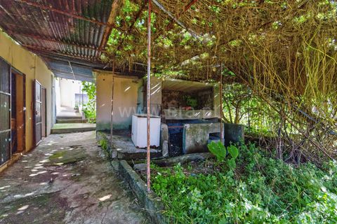 Erhvervsejendom i Ponta do Sol, Madeira, Ponta do Sol - € 350.000 | Ref: 081250295 - foto 24