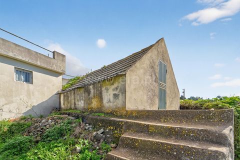 Erhvervsejendom i Ponta do Sol, Madeira, Ponta do Sol - € 350.000 | Ref: 081250295 - foto 26