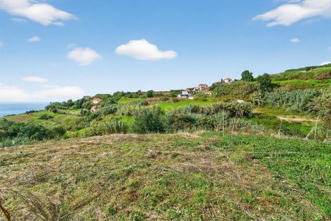 Erhvervsejendom i Ponta do Sol, Madeira, Ponta do Sol - € 350.000 | Ref: 081250295 - foto 27