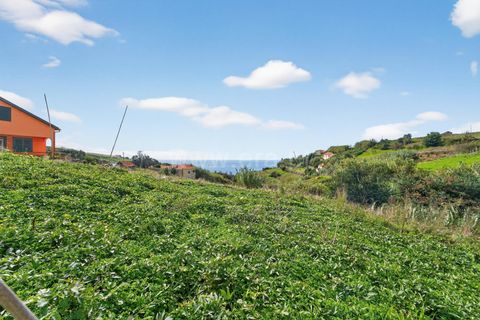 Erhvervsejendom i Ponta do Sol, Madeira, Ponta do Sol - € 350.000 | Ref: 081250295 - foto 28