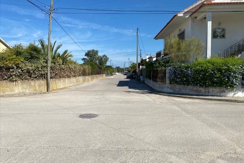 Villa i Setubal, Setubal, Setubal - € 440.000 | Ref: ZTRE-00338/12758 - foto 22