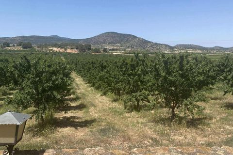 Villa i Yecla, Murcia, Yecla - € 299.995 | Ref: mp-89912 - foto 30