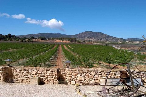 Villa i Yecla, Murcia, Yecla - € 299.995 | Ref: mp-89912 - foto 39