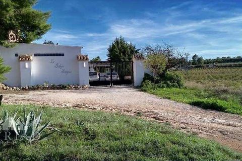 Villa i Yecla, Murcia, Yecla - € 299.995 | Ref: mp-89912 - foto 42
