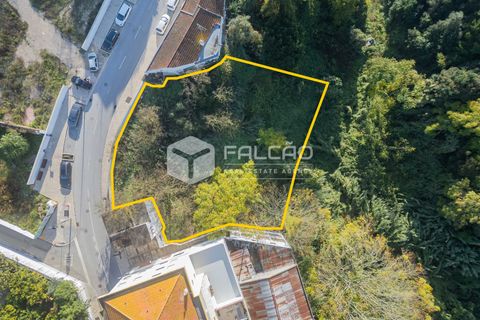 Helårsgrund i Santarem, Santarem, Santarem - € 95.000 | Ref: FR929 - foto 1
