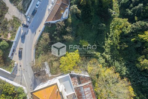 Helårsgrund i Santarem, Santarem, Santarem - € 95.000 | Ref: FR929 - foto 7