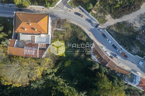 Helårsgrund i Santarem, Santarem, Santarem - € 95.000 | Ref: FR929 - foto 8