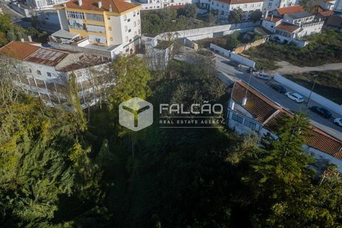 Helårsgrund i Santarem, Santarem, Santarem - € 95.000 | Ref: FR929 - foto 15