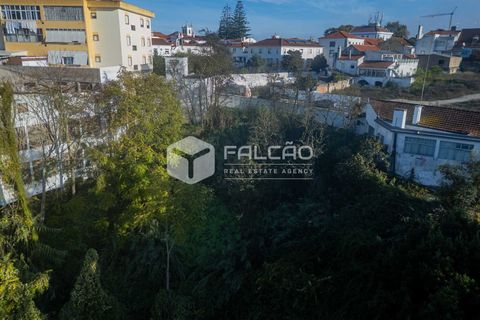 Helårsgrund i Santarem, Santarem, Santarem - € 95.000 | Ref: FR929 - foto 16