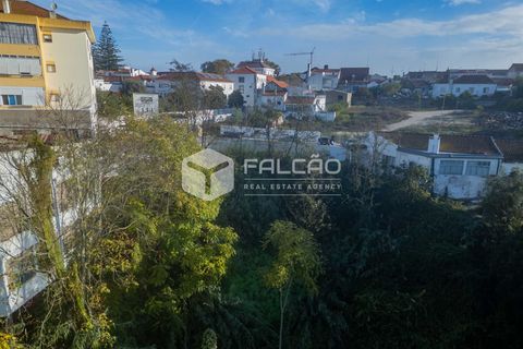 Helårsgrund i Santarem, Santarem, Santarem - € 95.000 | Ref: FR929 - foto 17