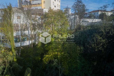 Helårsgrund i Santarem, Santarem, Santarem - € 95.000 | Ref: FR929 - foto 19