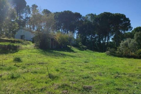 Byhus i Tabua, Coimbra, Tabua - € 115.000 | Ref: 129295 - foto 15