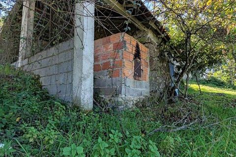 Byhus i Tabua, Coimbra, Tabua - € 115.000 | Ref: 129295 - foto 19