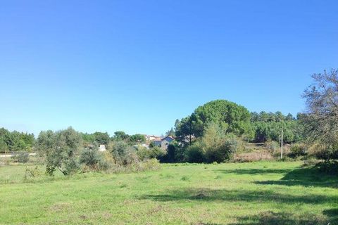 Byhus i Tabua, Coimbra, Tabua - € 115.000 | Ref: 129295 - foto 21