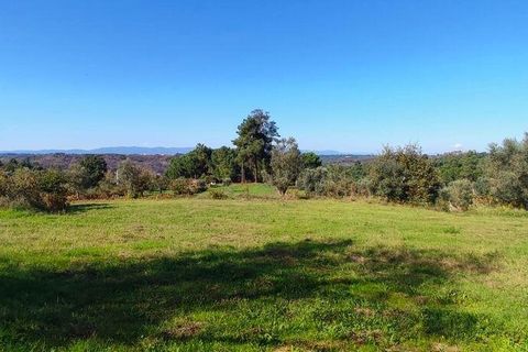 Byhus i Tabua, Coimbra, Tabua - € 115.000 | Ref: 129295 - foto 22