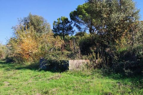 Byhus i Tabua, Coimbra, Tabua - € 115.000 | Ref: 129295 - foto 23