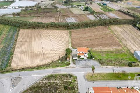 Byhus i Peniche, Leiria, Peniche - € 649.000 | Ref: 752450 - foto 1