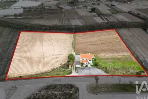 Byhus i Peniche, Leiria, Peniche - € 649.000 | Ref: 752450 - foto 2