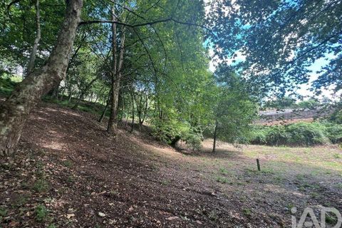 Terra a Penafiel, Porto, Penafiel - € 205.000 | Ref: 114485 - foto 3