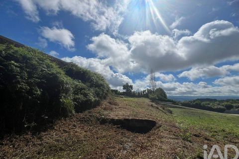 Terra a Penafiel, Porto, Penafiel - € 205.000 | Ref: 114485 - foto 4