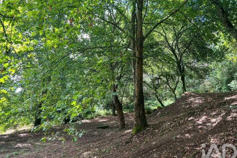 Terra a Penafiel, Porto, Penafiel - € 205.000 | Ref: 114485 - foto 5