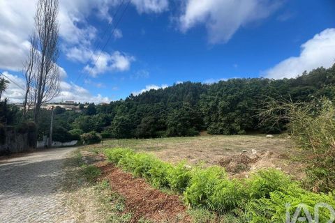 Terra a Penafiel, Porto, Penafiel - € 205.000 | Ref: 114485 - foto 7
