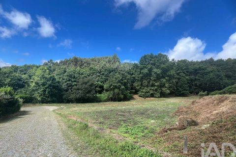Terra a Penafiel, Porto, Penafiel - € 205.000 | Ref: 114485 - foto 8