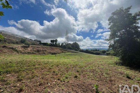 Terra a Penafiel, Porto, Penafiel - € 205.000 | Ref: 114485 - foto 9
