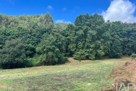 Terra a Penafiel, Porto, Penafiel - € 205.000 | Ref: 114485 - foto 10