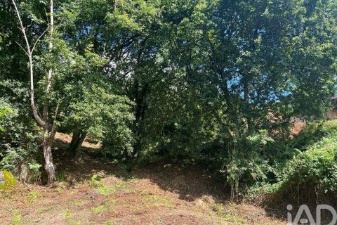 Terra a Penafiel, Porto, Penafiel - € 205.000 | Ref: 114485 - foto 15