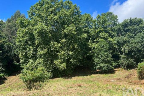 Terra a Penafiel, Porto, Penafiel - € 205.000 | Ref: 114485 - foto 17