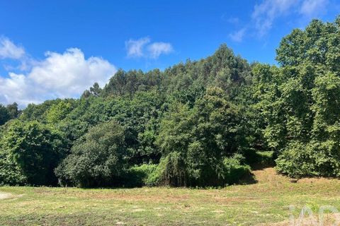 Terra a Penafiel, Porto, Penafiel - € 205.000 | Ref: 114485 - foto 19
