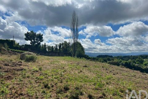 Terra a Penafiel, Porto, Penafiel - € 205.000 | Ref: 114485 - foto 22