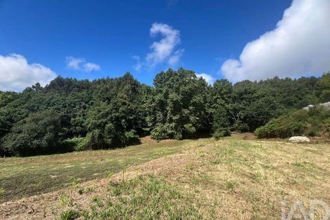 Terra a Penafiel, Porto, Penafiel - € 205.000 | Ref: 114485 - foto 24